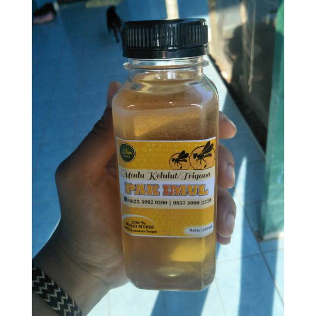 

Madu Kelulut / Klanceng asli Kalimantan tengah 250 ml