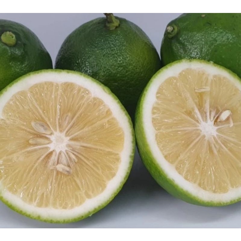 

Lemon California Hijau Fresh 1 kg (4-6 biji)