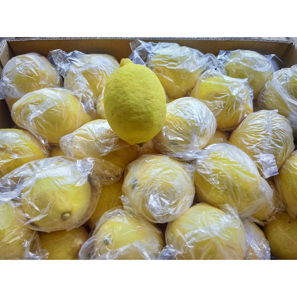 

Lemon Import Buah Lemon
