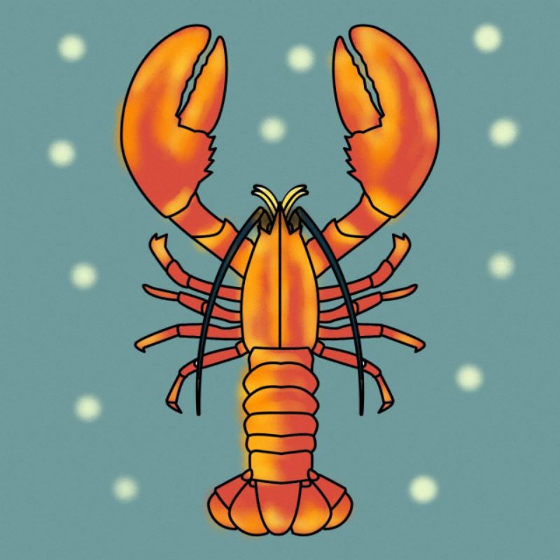 

Gambar Mewarnai Udang