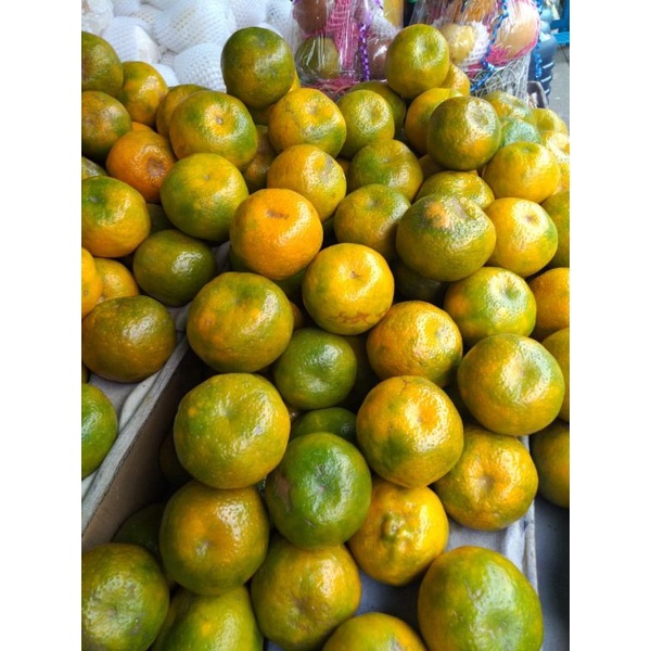 

jeruk medan brastagi manis