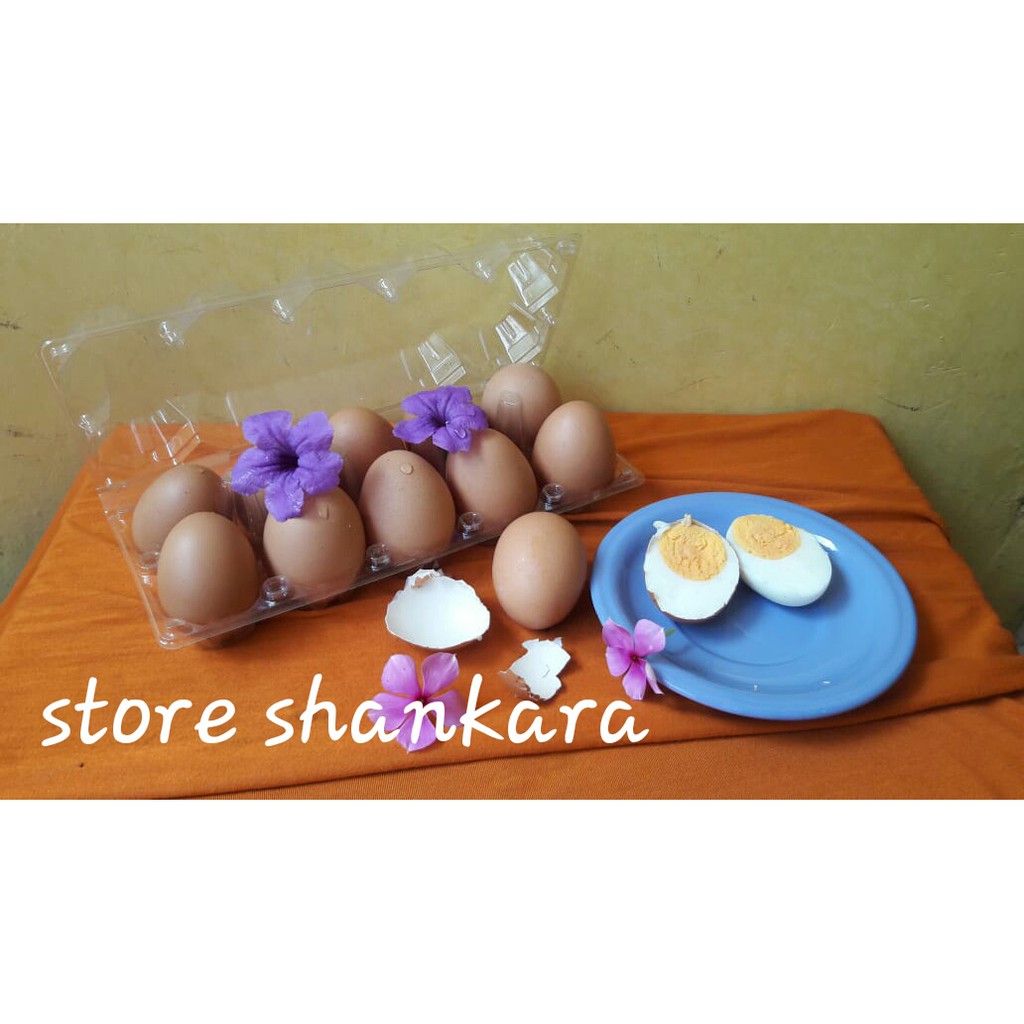 

Telur ayam organik omega 3 isi 10 pcs