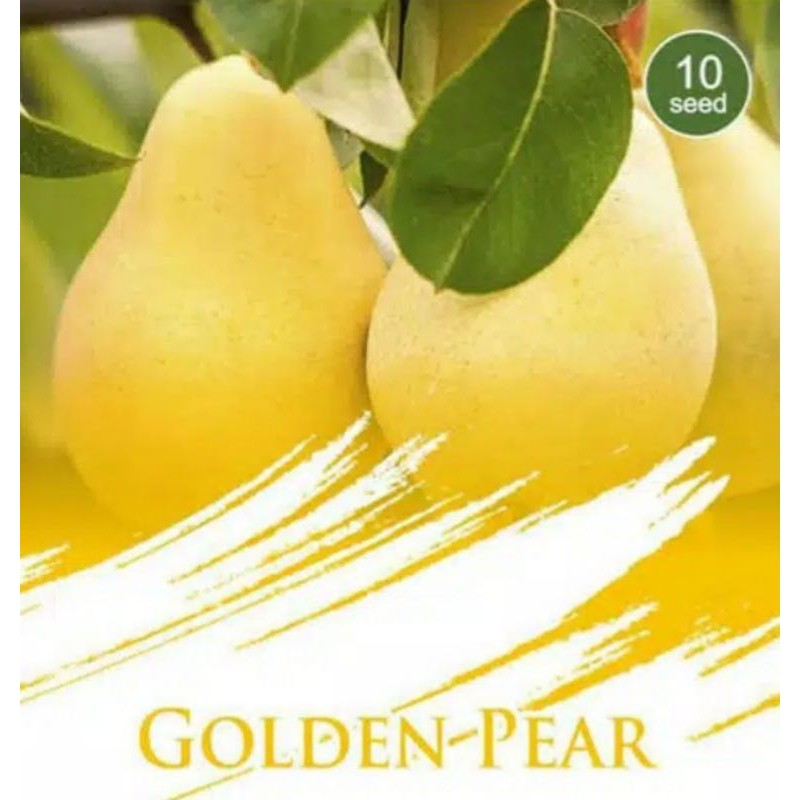

1 Pack Biji Golden Pear