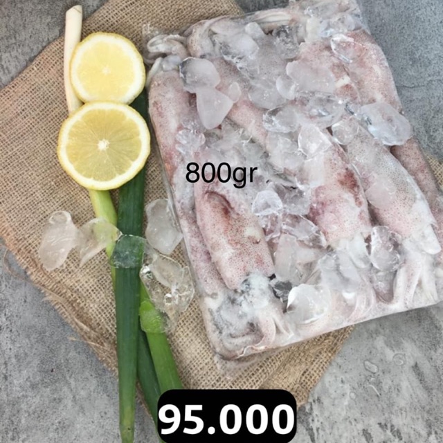 

Cumi-cumi