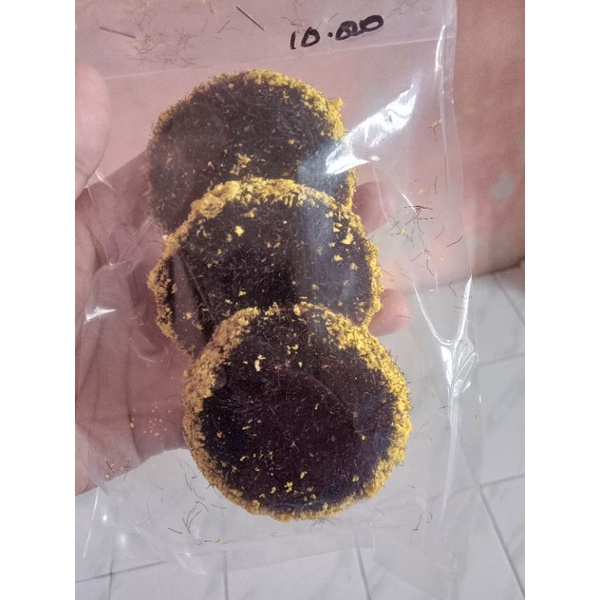 Putik Bunga Matahari Jumbo Putik Bunga Matahari Besar