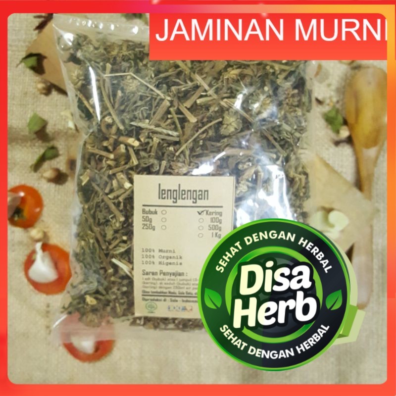 

LENGLENGAN KERING 100 GRAM - Leucas Lavandulifolia - MURNI - JSR - REMPAH - PREMIUM QUALITY