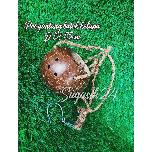 POT BATOK ALAMI TEMPURUNG GANTUNG