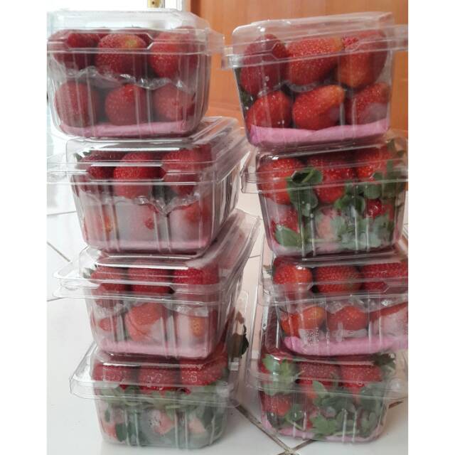 

Strawberry Segar Lembang Bandung