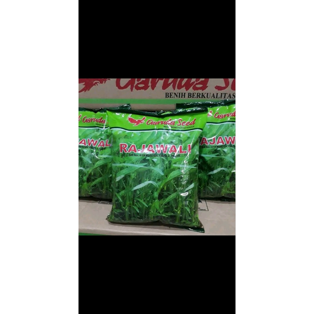 

terlaris Bibit kangkung super Rajawali