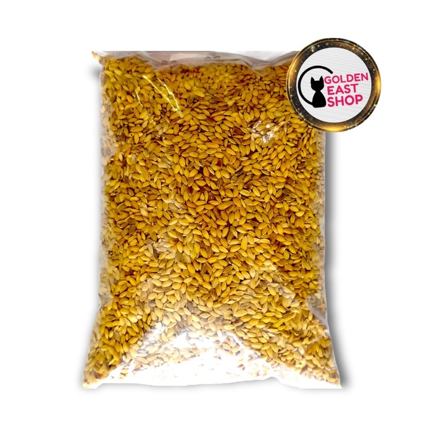 GABAH BANGKOK 500GRAM PAKAN BURUNG LOVE BIRD PERKUTUT AYAM