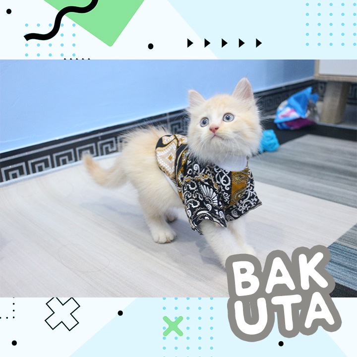 Kaos Lengan Panjang Motif Batik / Baju Kucing tangerang murah / baju kucing lucu size S-XL