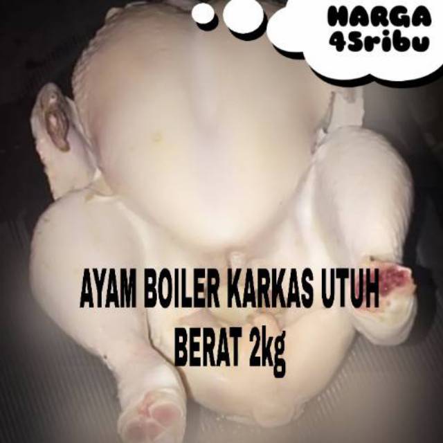 

DAGING AYAM 1 EKOR BESAR 2KG