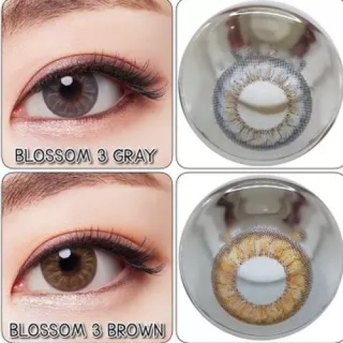 Softlens Kitty Kawaii Blossom 3Con