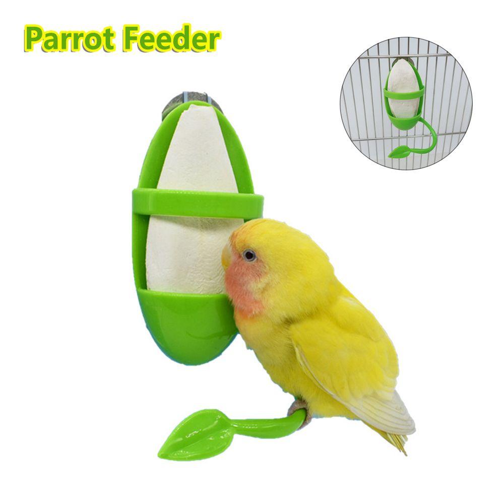 Top Nuri Feeder Green Parkit Budgie Burung Cockatiel Bermain Perlengkapan Mainan Ayunan Gantung