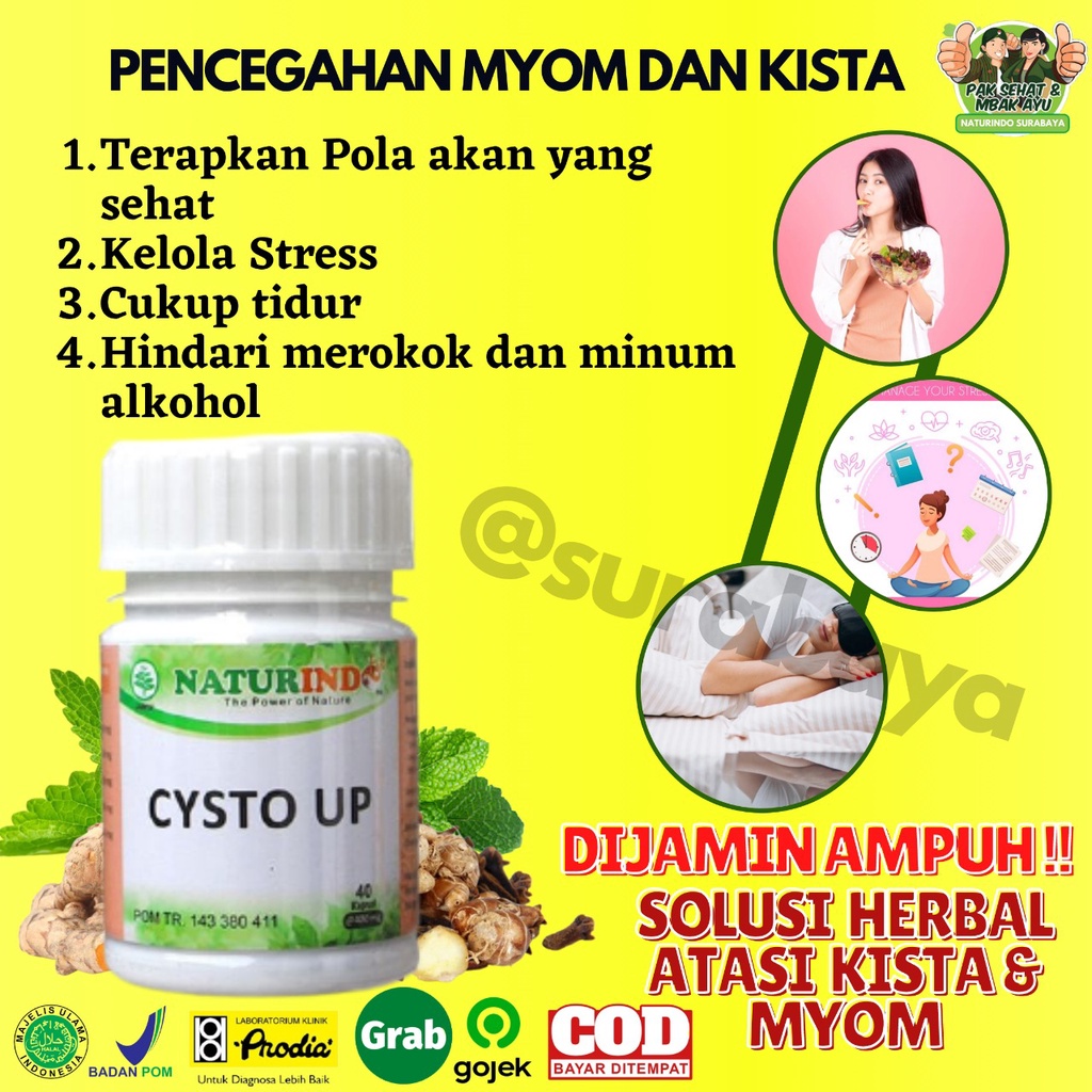 Obat Kista dan Miom Ovarium Obat Herbal Kista Bartholin Obat Penyakit Rahim Obat Cista Cysta Obat Miom Myom Coklat Obat Kista Endometriosis Ampuh Jamu Herbal Kista Miom Tumor Mioma Ampuh BPOM HALAL MUI CYSTO UP Naturindo Surabaya 40 Kapsul-4