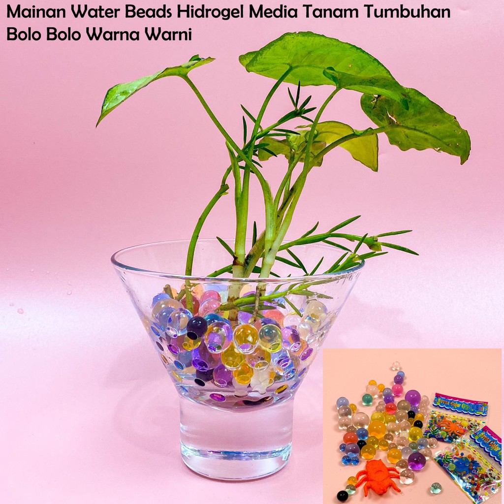 Mainan Water Beads Hidrogel Media Tanam Tumbuhan / Bolo Bolo Warna Warni
