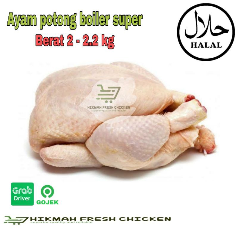 

Ayam potong boiler Karkas fresh segar berkualitas termurah 2 - 2.2 Kg