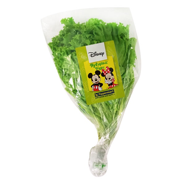 

DISNEY SELADA KERITING HYDROPONIK PACK