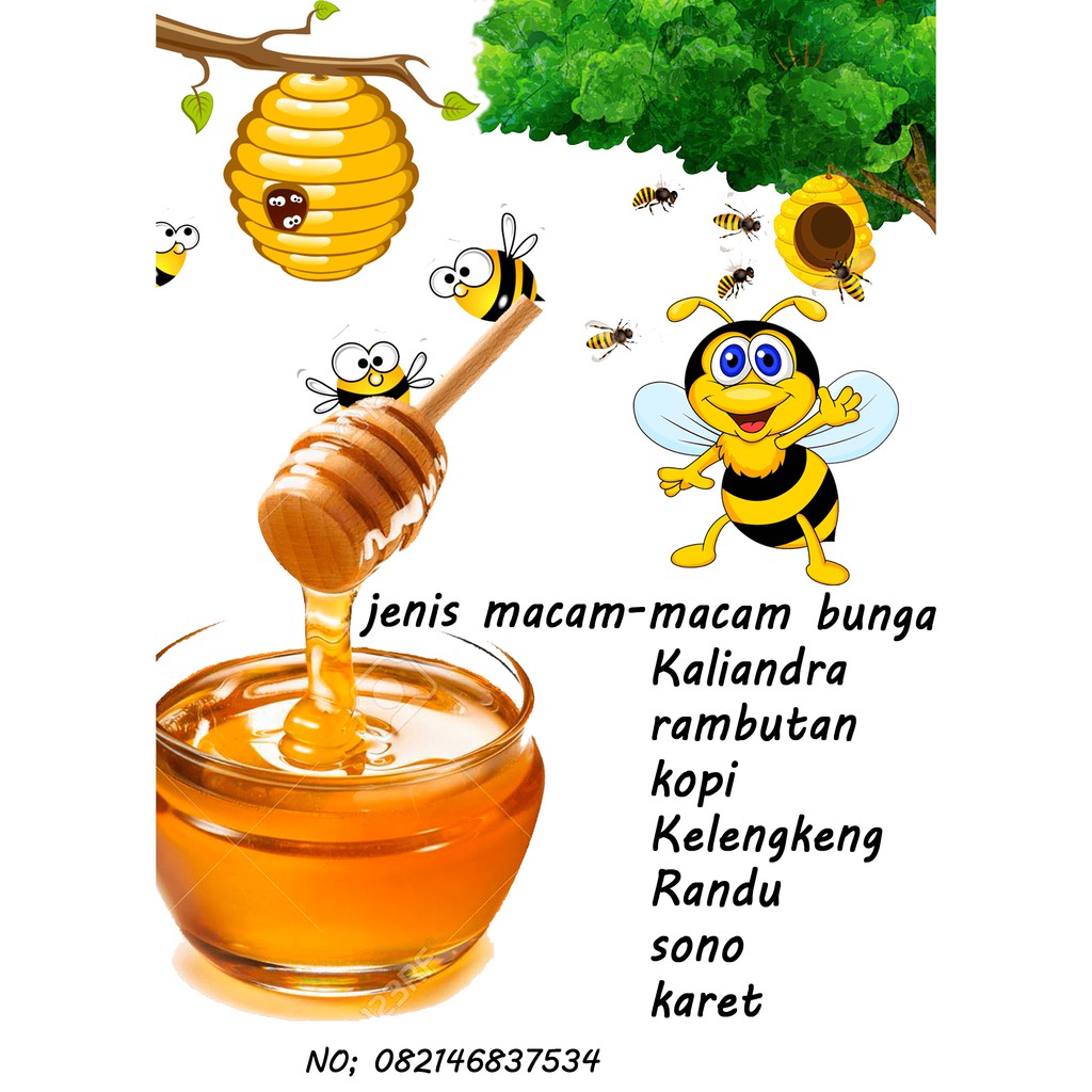 

madu asli kemasan botol 500 g