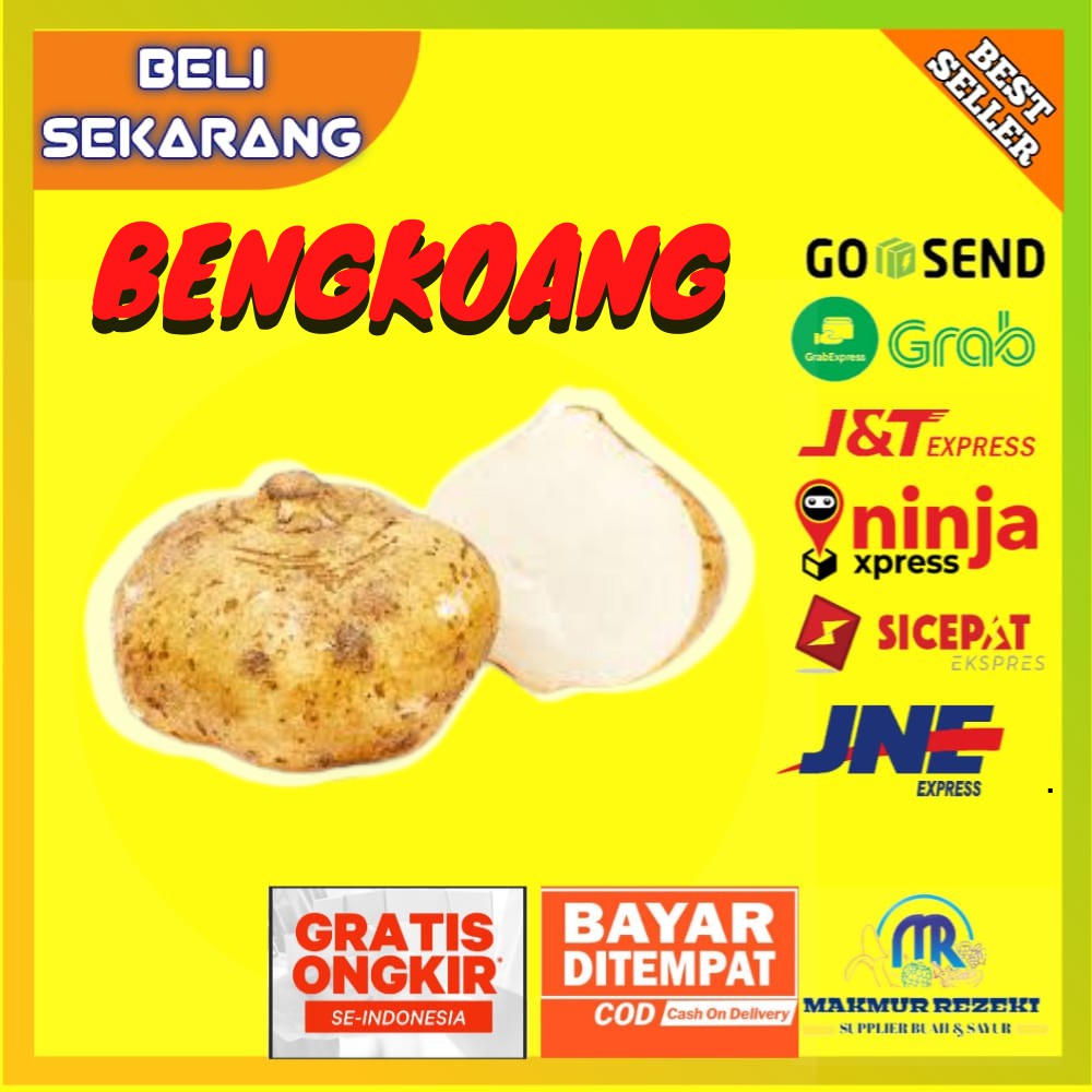 

BUAH BENGKOANG RUJAKAN BENGKUANG PETISAN BERSIH TANPA TANAH MURAH SEGAR ISI 2-3 PER KILO 1 KG