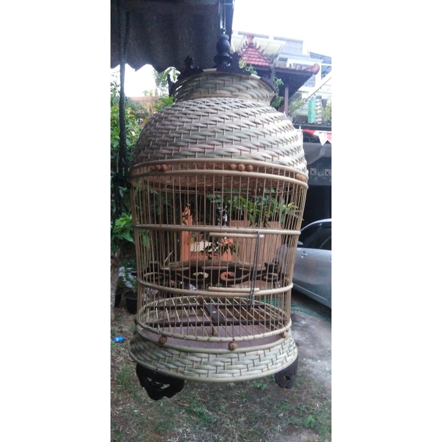 Sangkar Kurungan Kandang Burung Perkutut Anyaman Rotan Alami