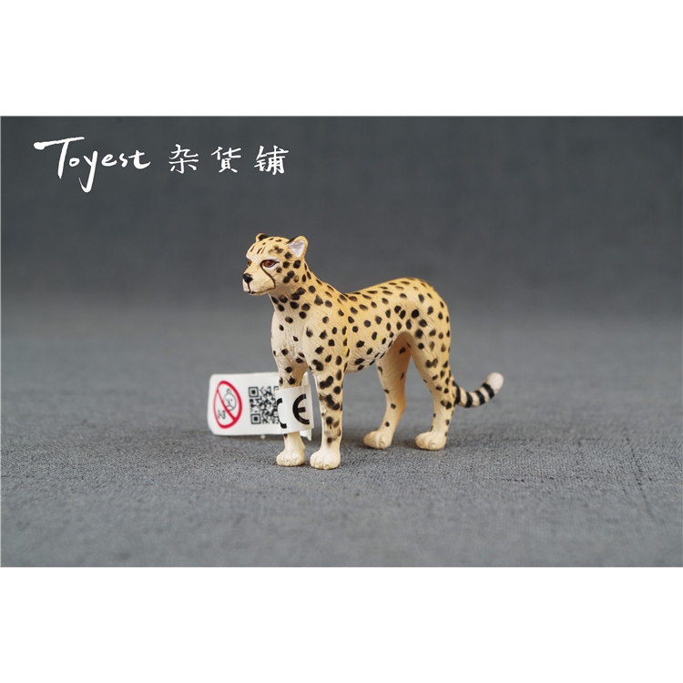 48+ Contoh gambar hewan cheetah download