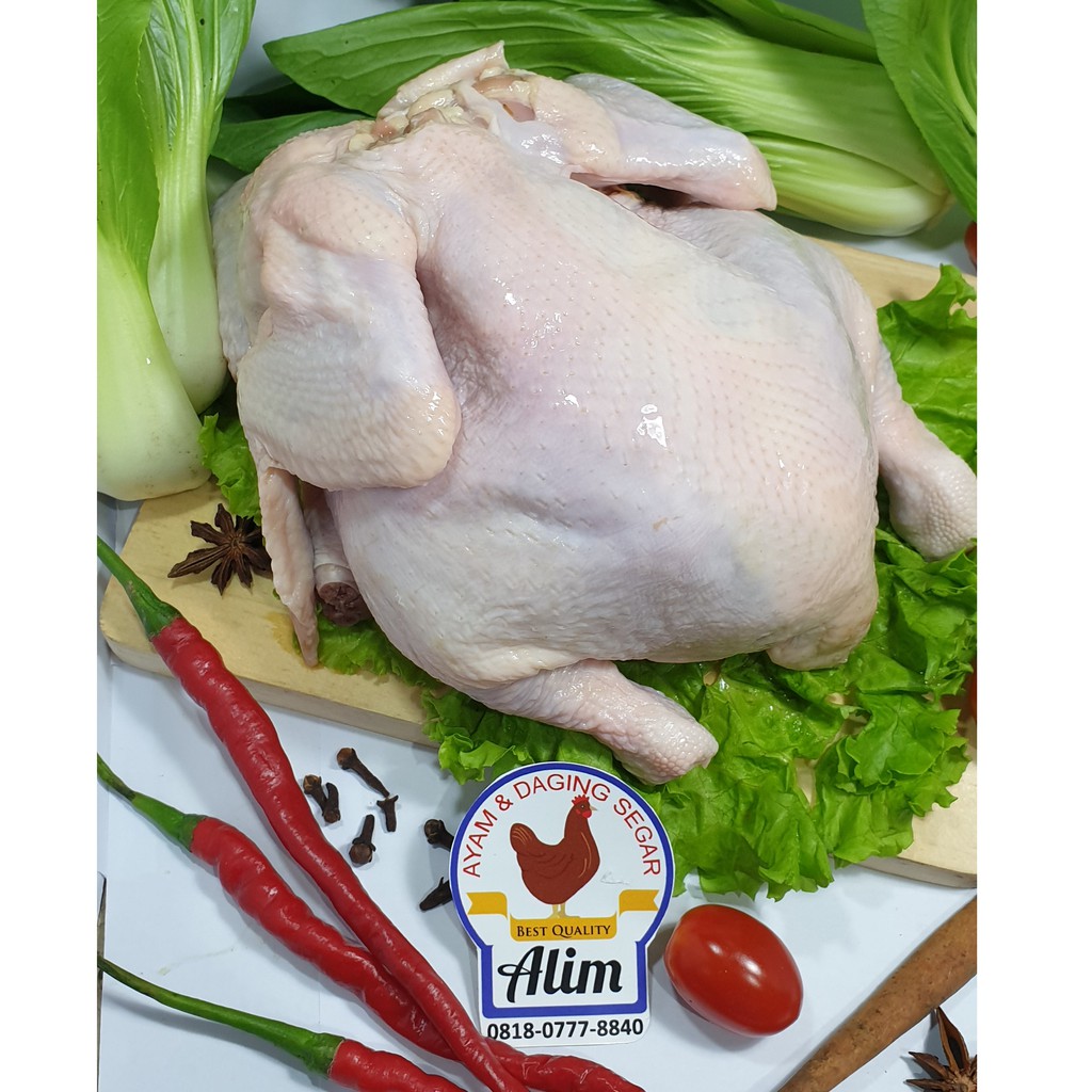 

Ayam Potong Kaki Kepala 1KG (Whole Chicken Neck Feet Cuts)