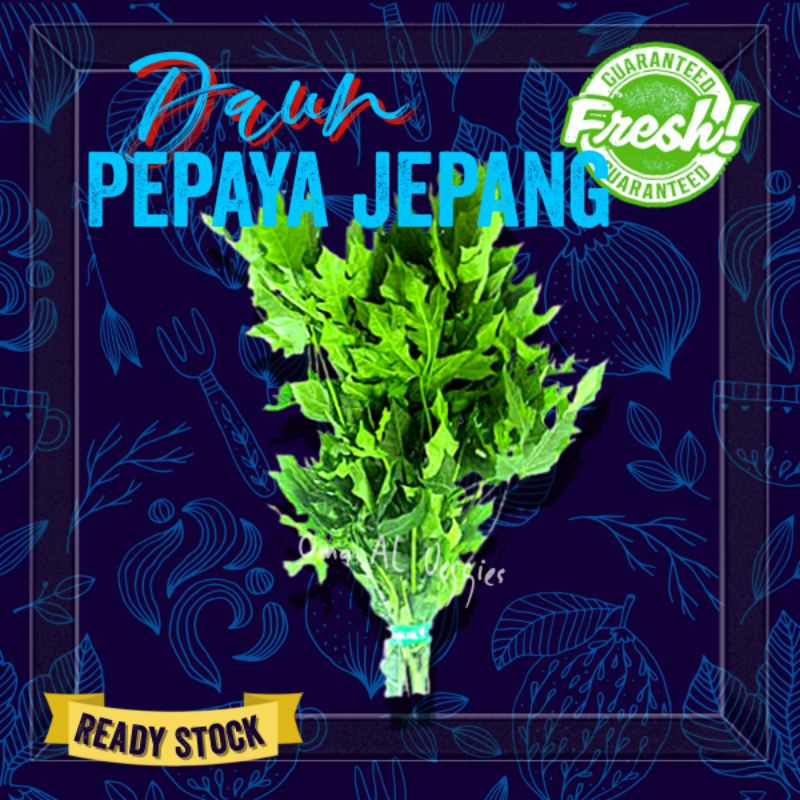 

DAUN PEPAYA JEPANG PER IKAT ± 200 Gr