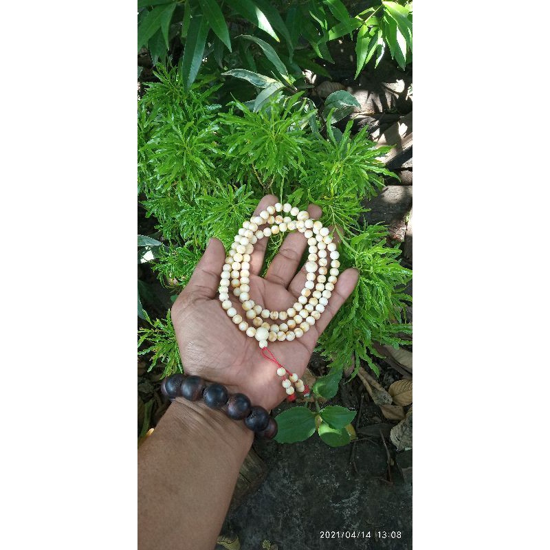 tasbih Budha batu Marjan putih
