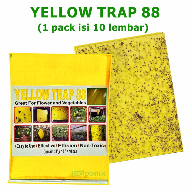 Yellow Trap Perangkap Hama Tanaman (1 pack = 10 lembar)