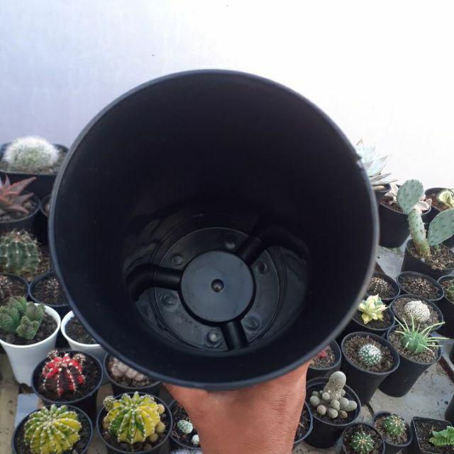 Pot Bunga Plastik Sanse 12