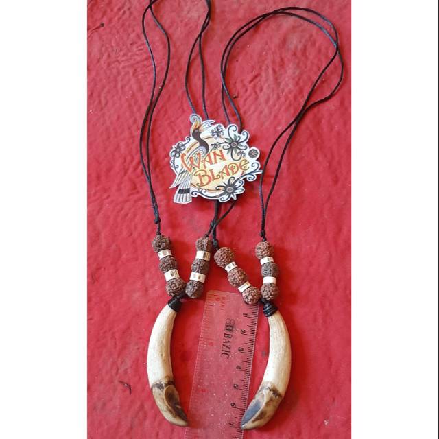 Kalung etnik taring babi hutan kalimantan