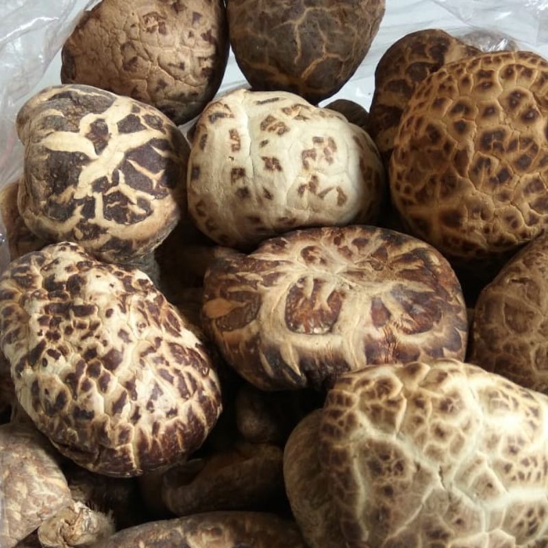

Jamur Shitake/ Hioko/ Dried Mushroom/ Xiang Ku 1Kg