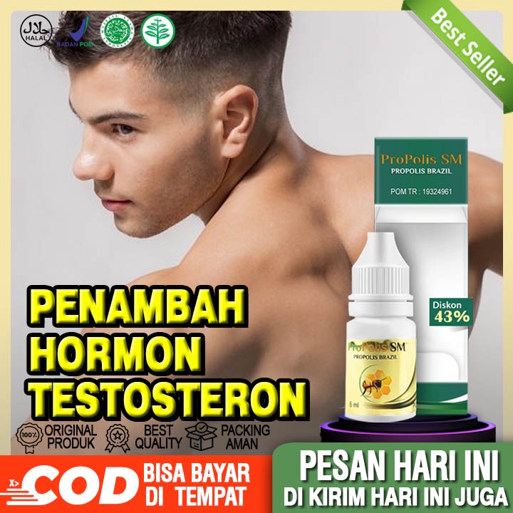 Obat Penambah Hormon Testosteron Pria Propolis Sm