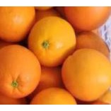 

GOLDENFRUIT_SUNKIST NAVEL
