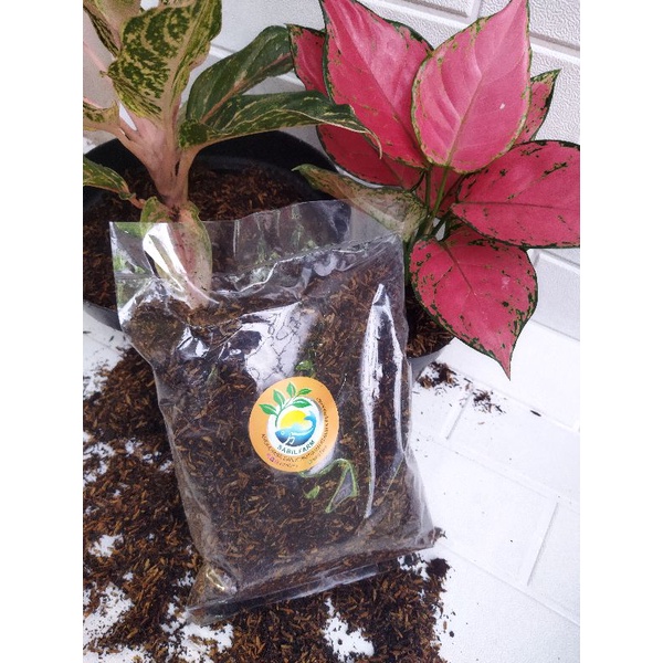 ALLS METAN POROUS 3KG. Media tanam Aglonema Fermentasi kemasan Besar ukuran 3Kg