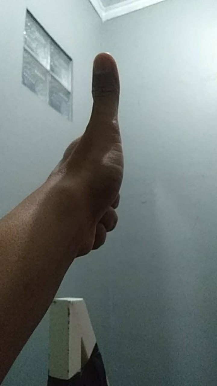 It-6 Ice Tray 002 / Cetakan Es Batu Lion Star