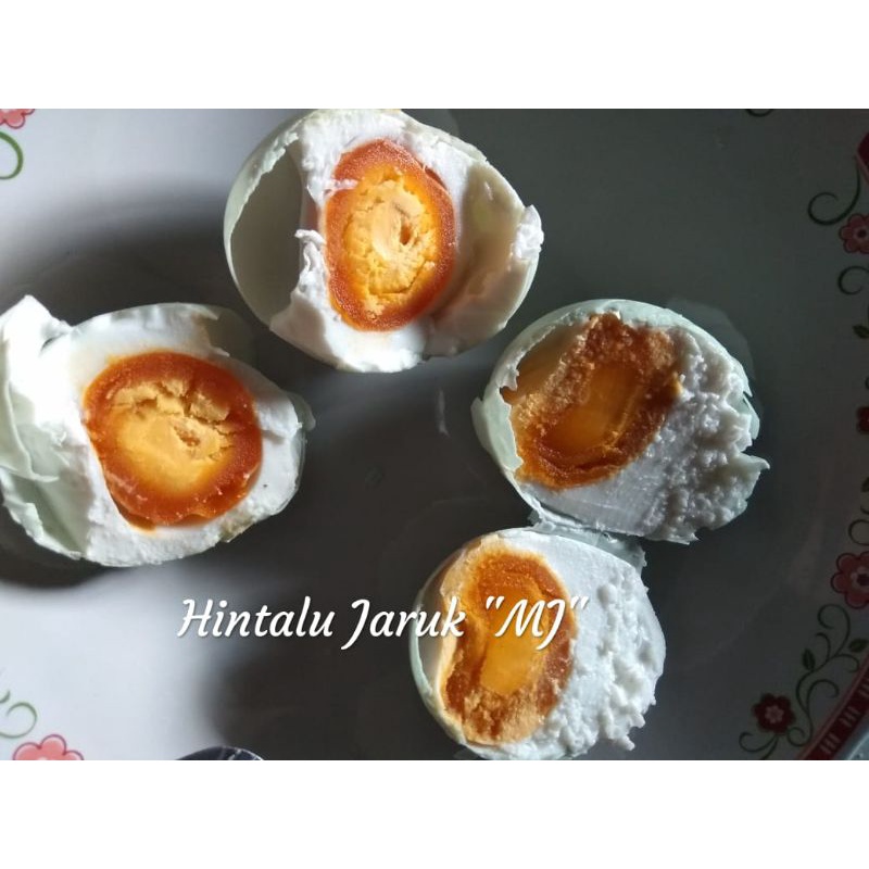 

Hintalu Jaruk MJ