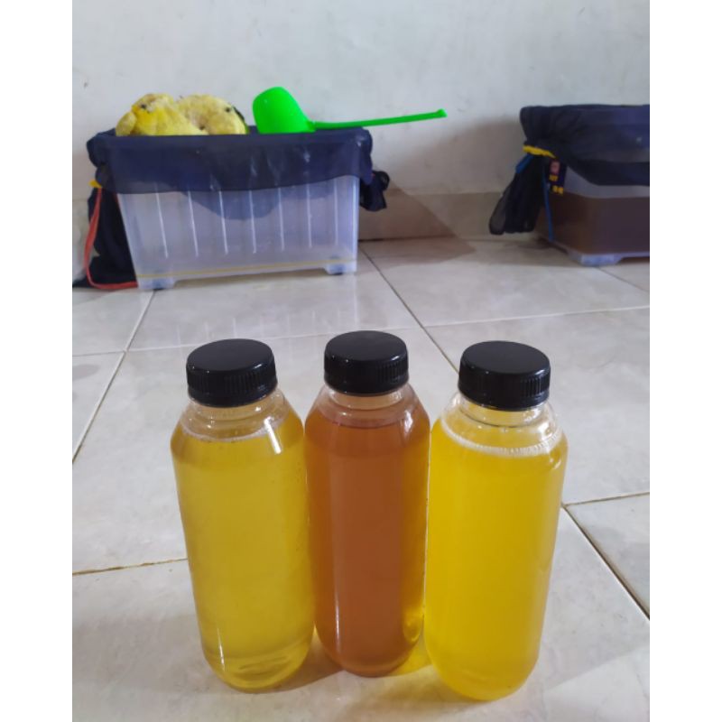 

MINANG MADU ASLI HUTAN SUMBAR