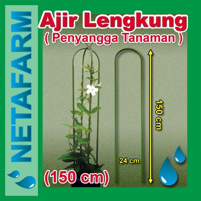 AJIR LENGKUNG - Tinggi 150 cm ( Penyangga Tanaman )