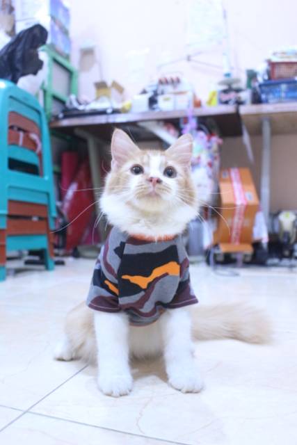 Kaos army dasar warna orange lucu untuk kucing dan anjing / baju kucing murah size S M L XL