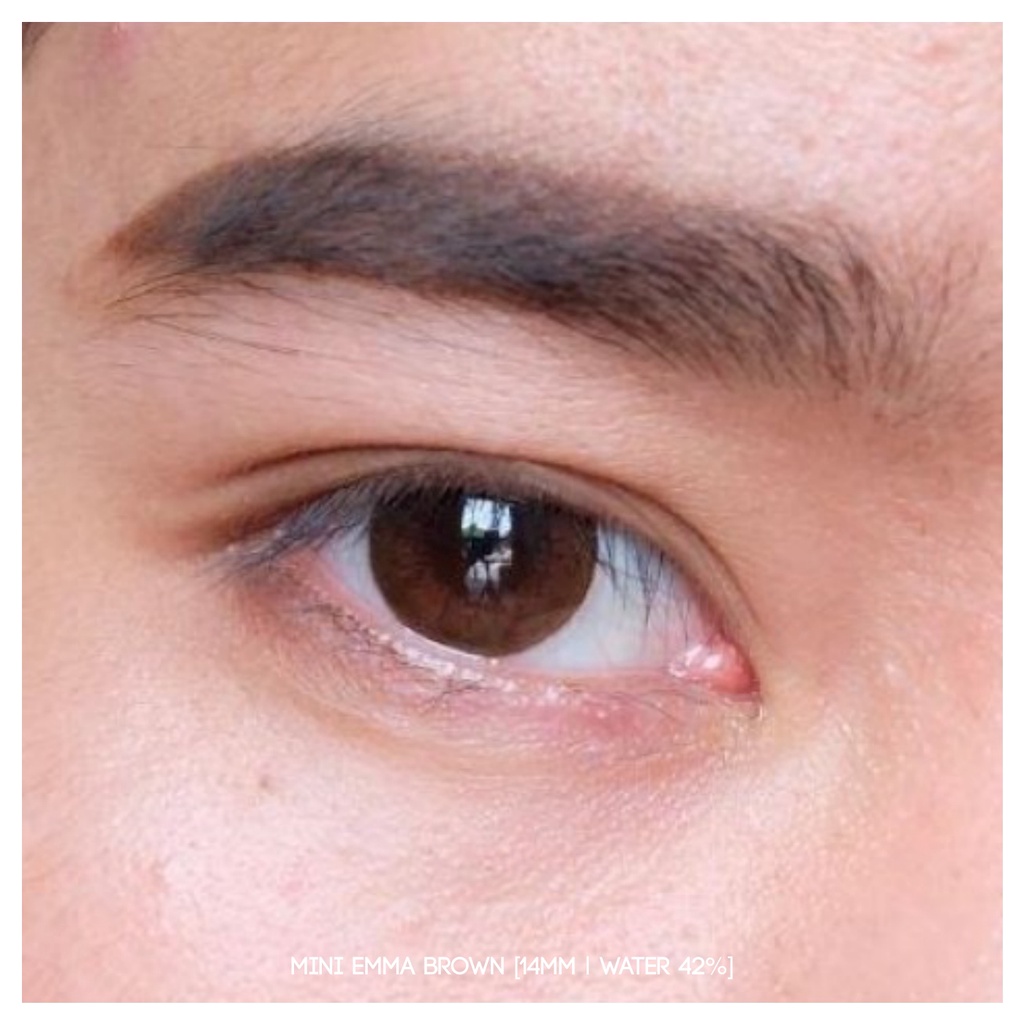 Softlens Mini Emma Brown | Dreamcolor1 [Mikhayloveshop]