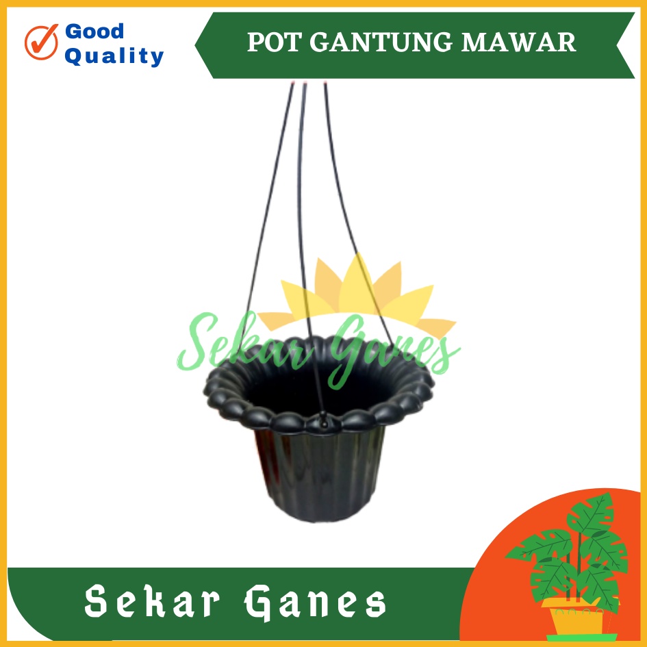 POT HITAM GANTUNG MAWAR PARIS 20 CM - POT GANTUNG HIAS BUNGA LILI PARIS PEPEROMIA GERANIUM MURAH