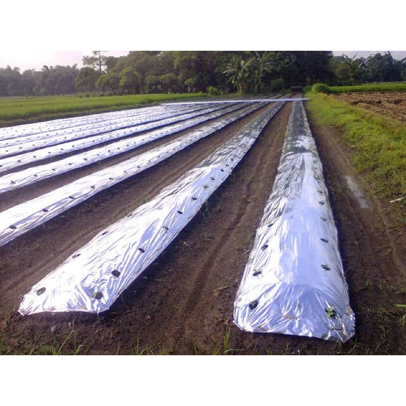 LEBIH HEMAT  PLASTIK GRENJENG / MULSA PERAK GRENJENG KILOAN TERMURAH