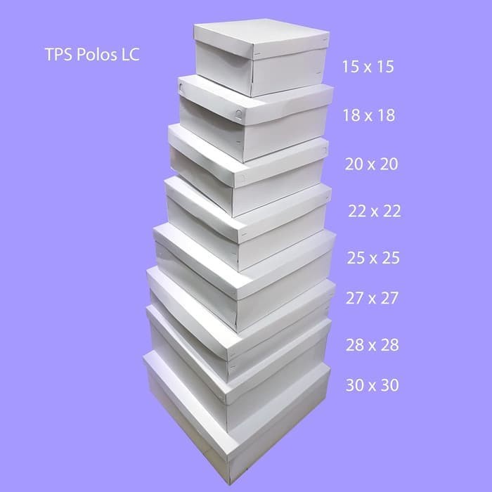 

TPS Polos 30x30 x12 50 pc Kotak Dus Nasi Katering LC 30 x 30