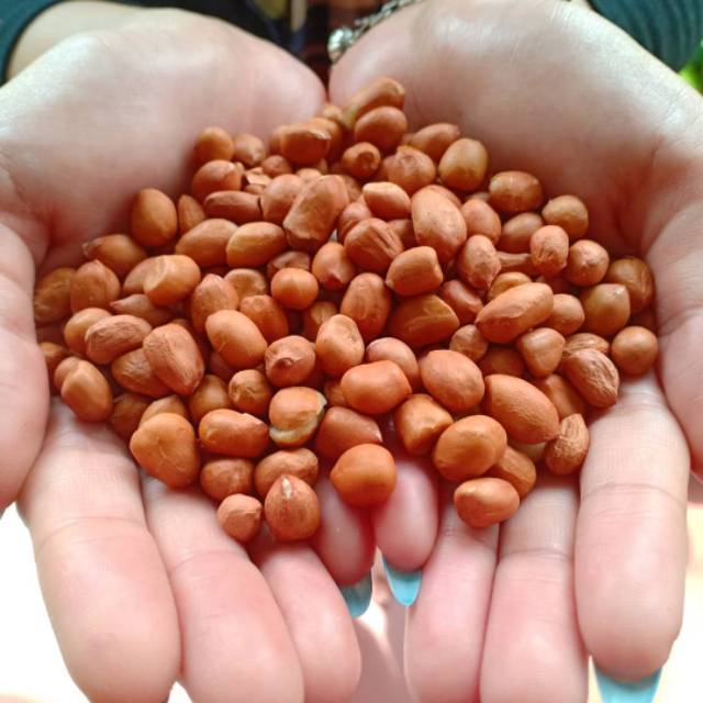 

Kacang tanah kulit ari mentah 1kg