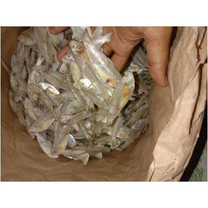 

Ikan Asin Perak Bulat ( 500 Gr )