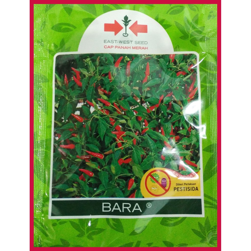 Benih Cabe Rawit Bara Panah Merah Diskon