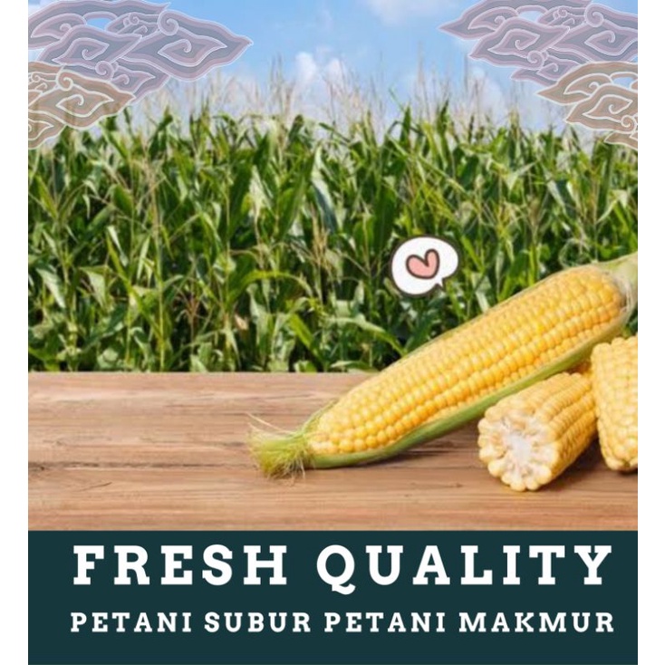 

Jagung