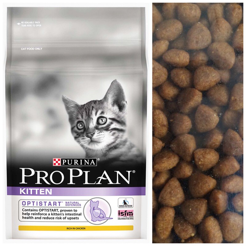 Makanan Kucing Proplan Pro Plan Kitten Repack 500gr Cat Food